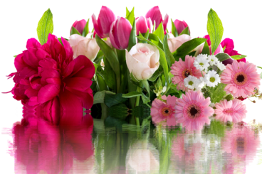 Kwiaty róże gerbery piwonie i tulipany.png